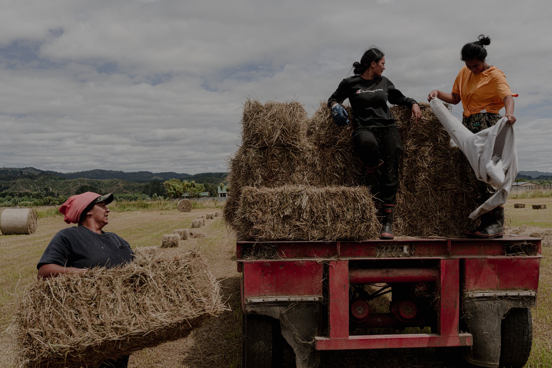 Apprentices from a local school learn essential farming skills at Tataiwhetu Trust, an organic dairy farm in Ruatoki, New Zealand. While employment opportunities are rare in Te Urewera, there is always a need for skilled farmers, making this training particularly valuable for the community. The farm has been awarded for its protection of wetlands and biodiversity within its agricultural practice.