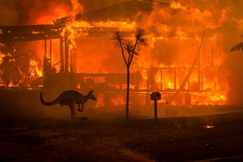 Becoming Climate: Climate change and resistance through the lens of World Press Photo - Lublin, Poland