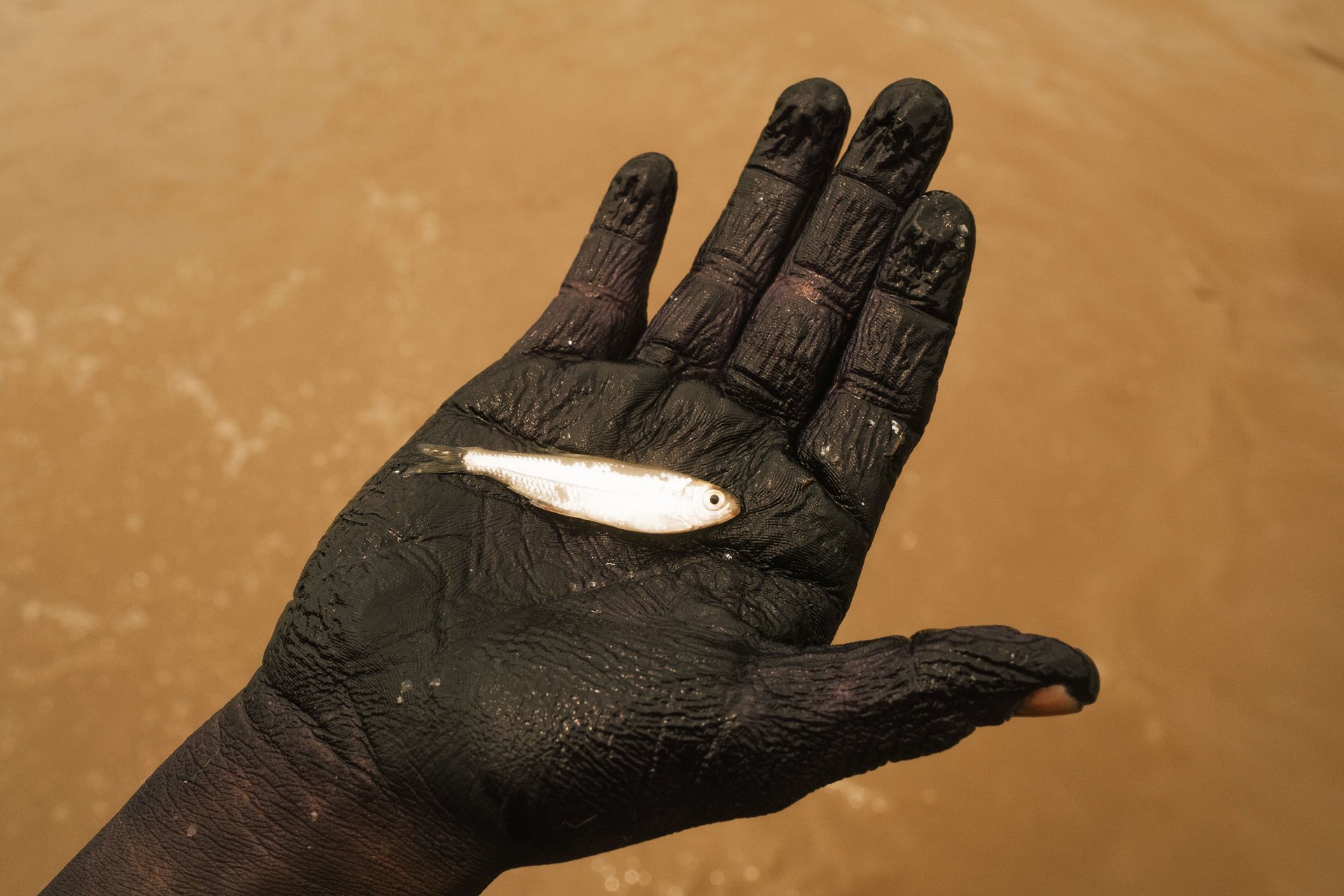 Nelli Birry (10) holds a fish she just caught in Puerto Antioquia, Chocó, Colombia. She is the eldest daughter of Liria Cheito, who attempted suicide using her paruma on 7 April 2023, after being abused by her husband.