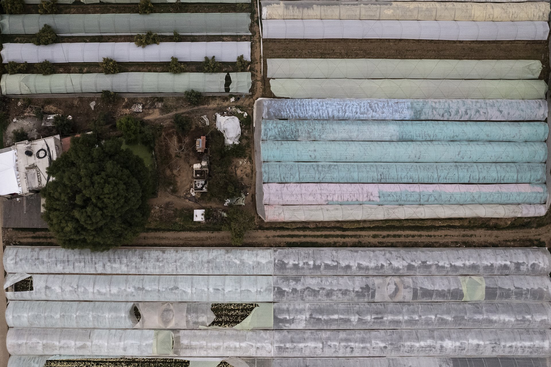 A house stands surrounded by floriculture greenhouses in San Martín, Tenancingo, Mexico. As space for flower-growing in Villa Guerrero reaches capacity, the highly profitable industry has sprawled out to neighboring areas, such as San Martín. People clear out regional flora and vegetation to install greenhouses.