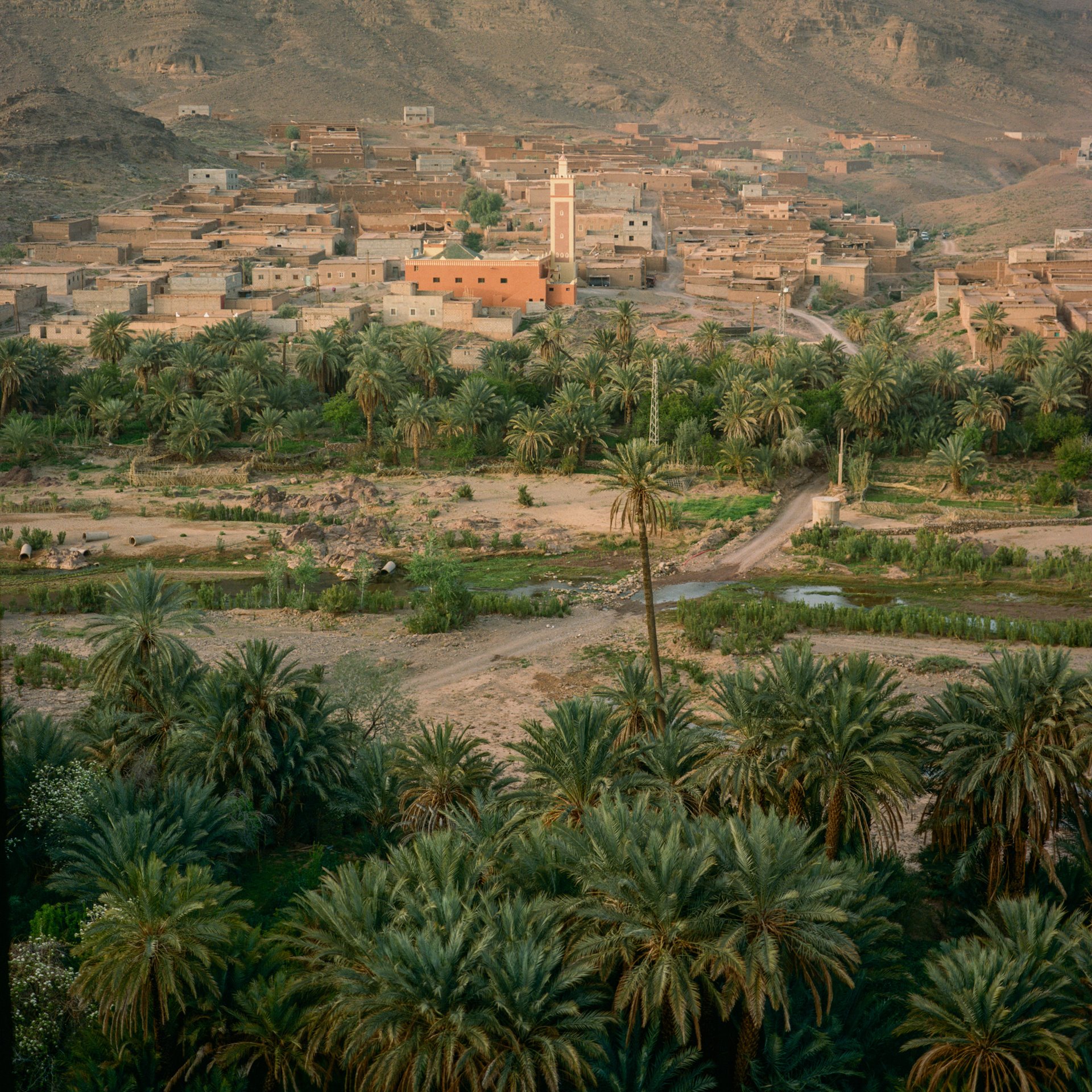 <p>The Fint Oasis, near Ouarzazate in southern Morocco, is home to around 1,500 people.</p>
