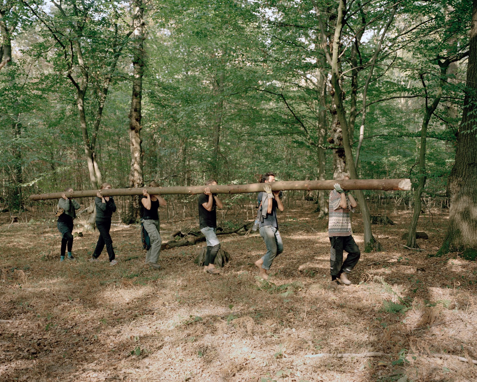 Activists carry a tree trunk through the forest to build a treehouse, in Hambach Forest, near Kerpen, Germany. In a small part of the forest, where a spruce monoculture has been cultivated, activists regularly fell trees for timber.