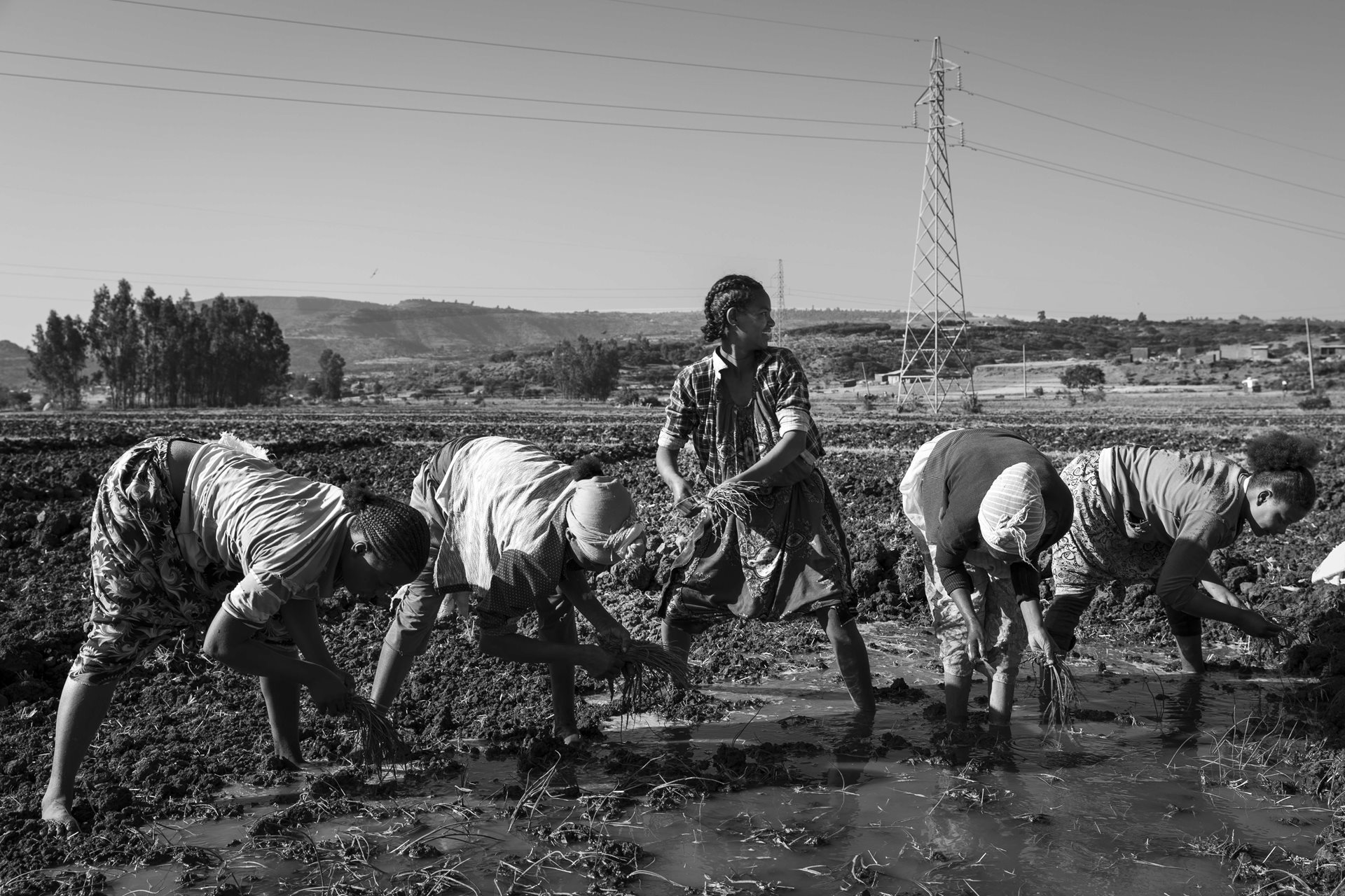 Tigrayan women working the land in Adwa, Tigray, Ethiopia. The war in Tigray has increased the number of women who must live on their own. In response, many women have found new autonomy through farming and handicrafts. Despite progress, with Ethiopia now ranking 75th in the 2023 Global Gender Gap Index, Ethiopian women still face substantial barriers to economic equality.