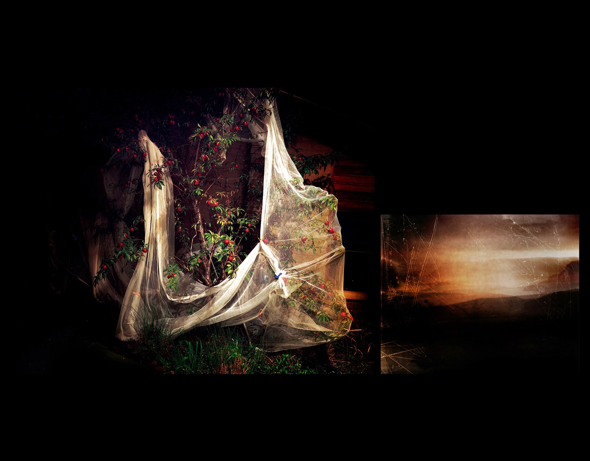 (Left) A tree from the photographer&rsquo;s home, draped in netting to protect it from non-native birdlife. (Right) A reimagined landscape of a wildfire. Callala Bay (Jerrinja and Wandi Wandian Country), Australia.