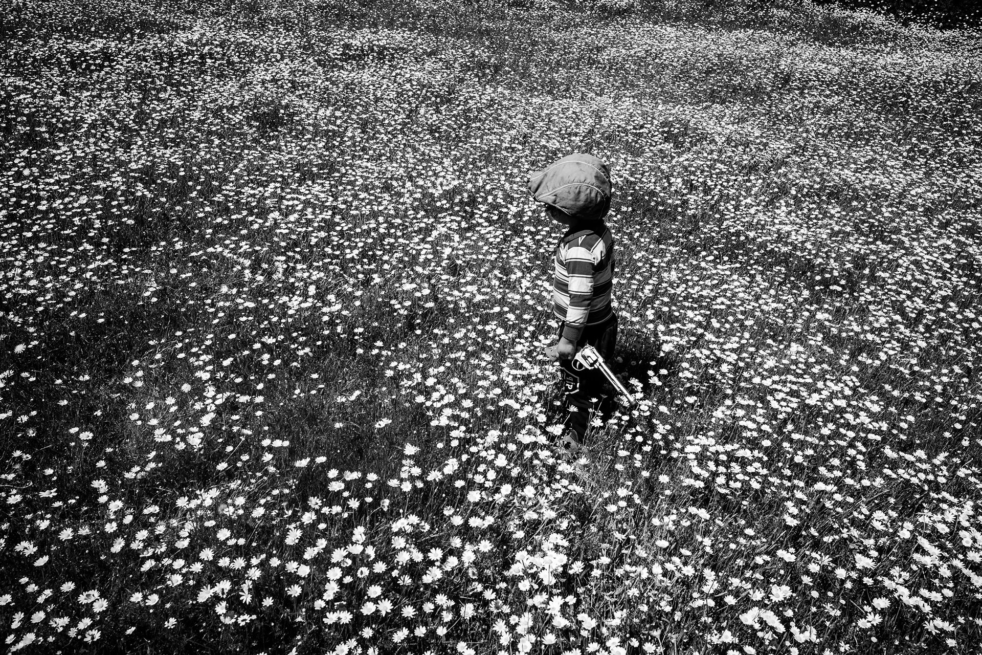 A boy with a toy gun walks through a field of flowers, in territory recovered by the Mapuche community in Ercilla, Araucanía, Chile.