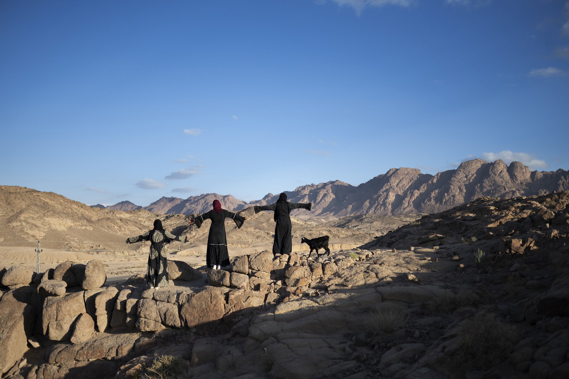 Nora, Nadia and Mariam stand on the edge of a mountain overlooking Al-Tarfa village, St. Catherine, South Sinai, Egypt. The women of Al-Tarfa village walk in a group of four from sunrise to sunset every day, herding sheep and goats as they graze on the wild plants of the surrounding mountains. As the herd feeds, the women talk, share concerns, ask for advice and learn from one another. A sisterhood is formed through mutual support and unity.