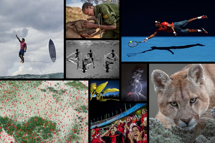 New: Nature and Sports Awards