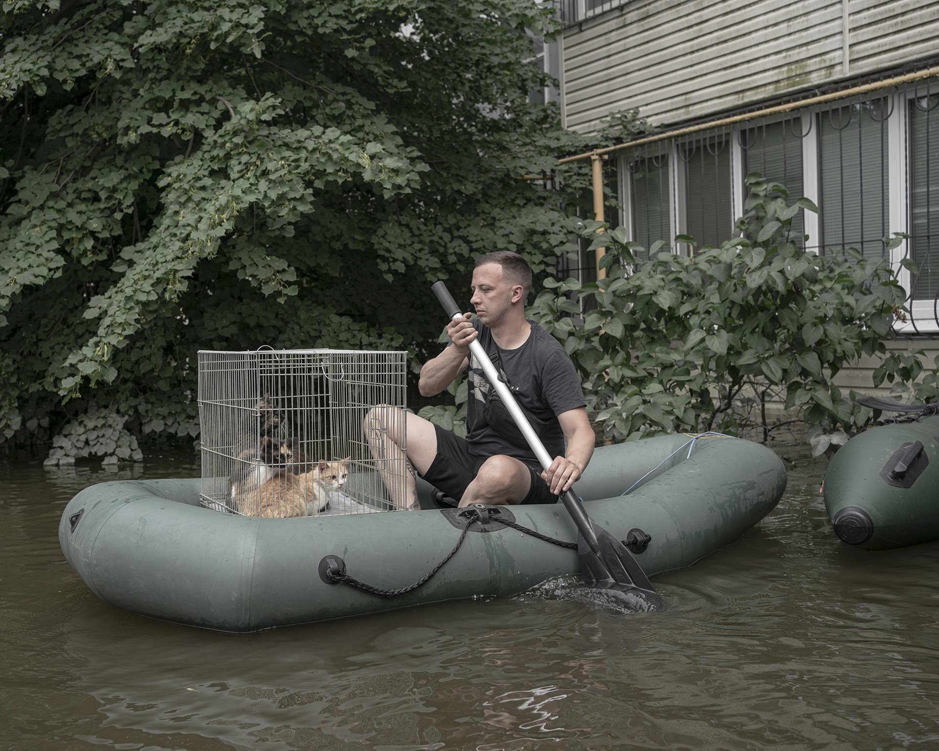 A volunteer rescues cats in the flooded harbor district in Kherson, Ukraine. Flooding from the breached Kakhovka Dam lasted for 19 days.&nbsp;