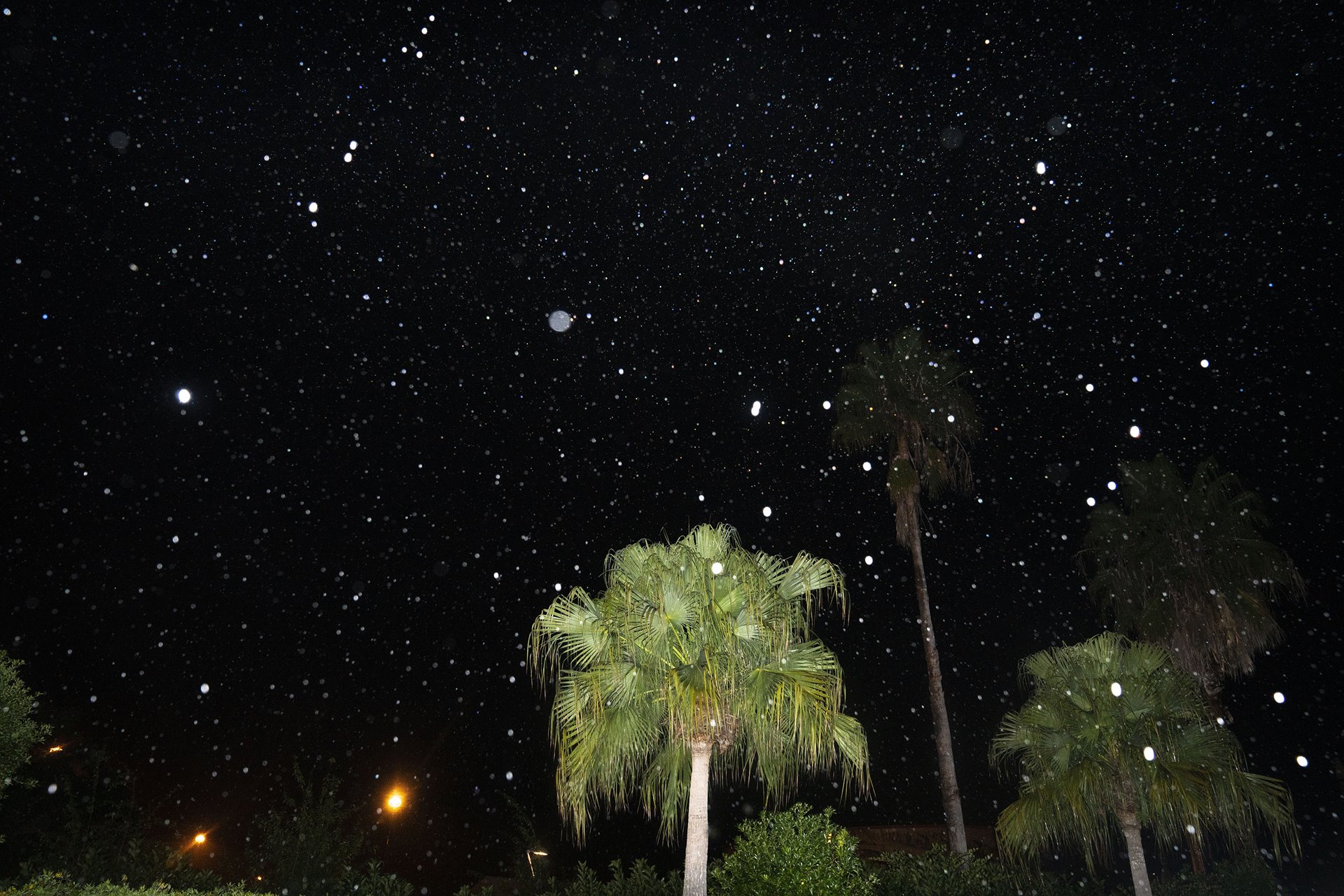 The night sky from Kennedy Space Center in Merritt Island, Florida, United States, just before the fictional Gay Space Agency launches its mission to the moon. The photograph was actually taken at NASA&rsquo;s Kennedy Space Center before the launch of SpaceX Crew-3 to the International Space Station.