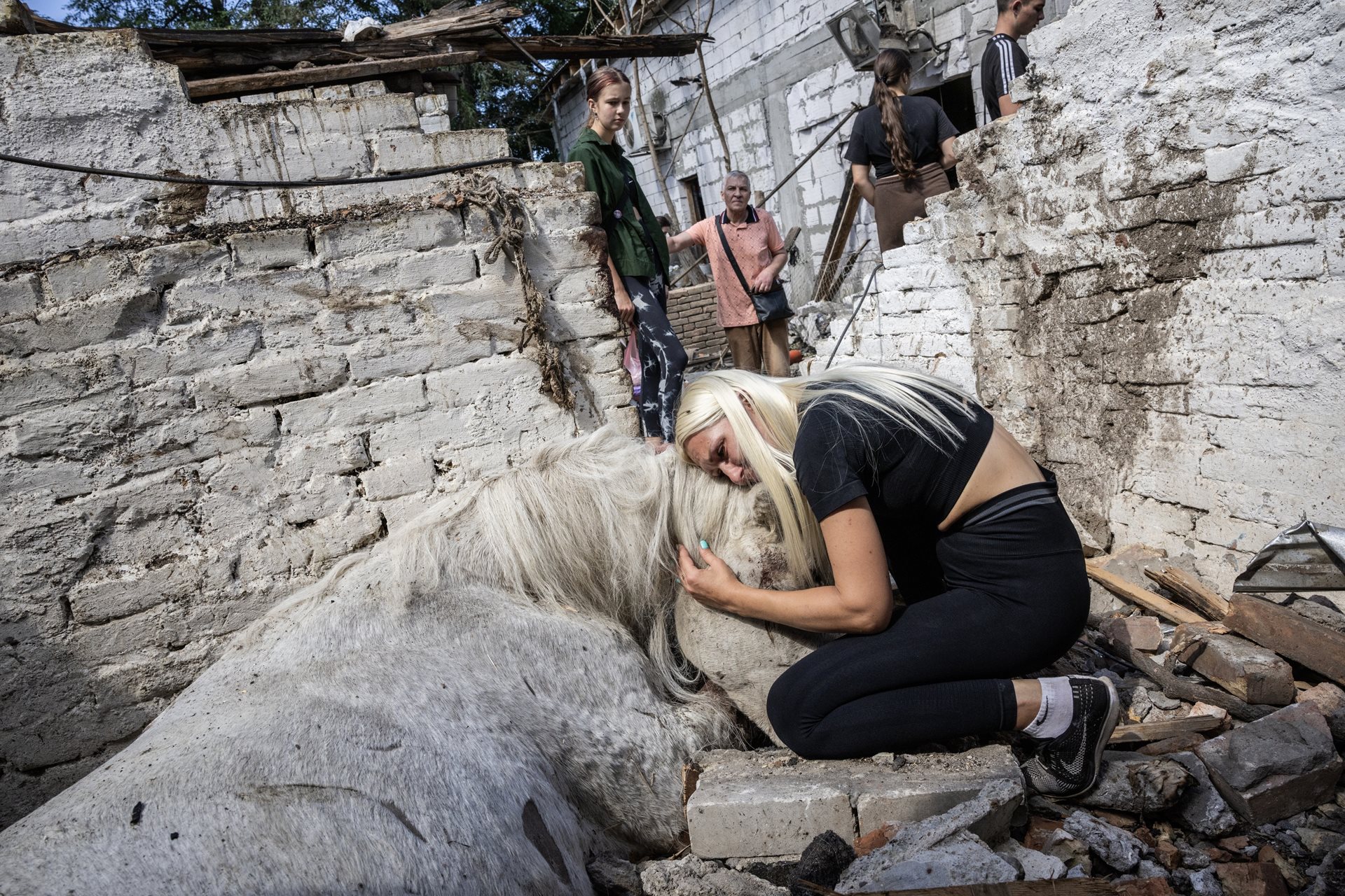 <p>Yulia Vasiakina embraces Kamelia, her 20-year-old horse, killed when Russian long-range drones struck their neighborhood and destroyed most of the surrounding city block. Odesa, Ukraine</p>
