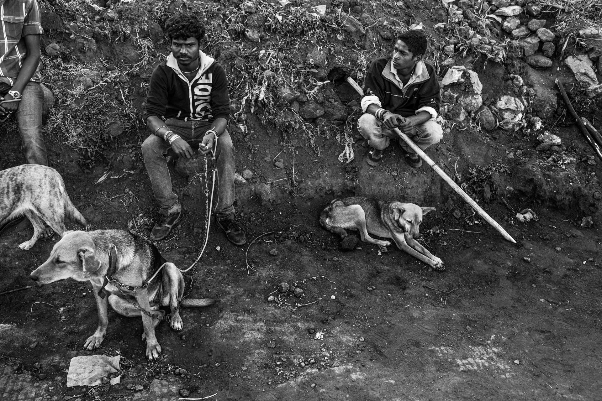 <p>Members of a local community search for a tiger that had killed three people within a week around a village near Ooty, in Tamil Nadu, India. Schools were closed, and district authorities installed nearly 65 cameras in the villages and tea estates around the forest. The tiger was eventually shot dead.</p>
