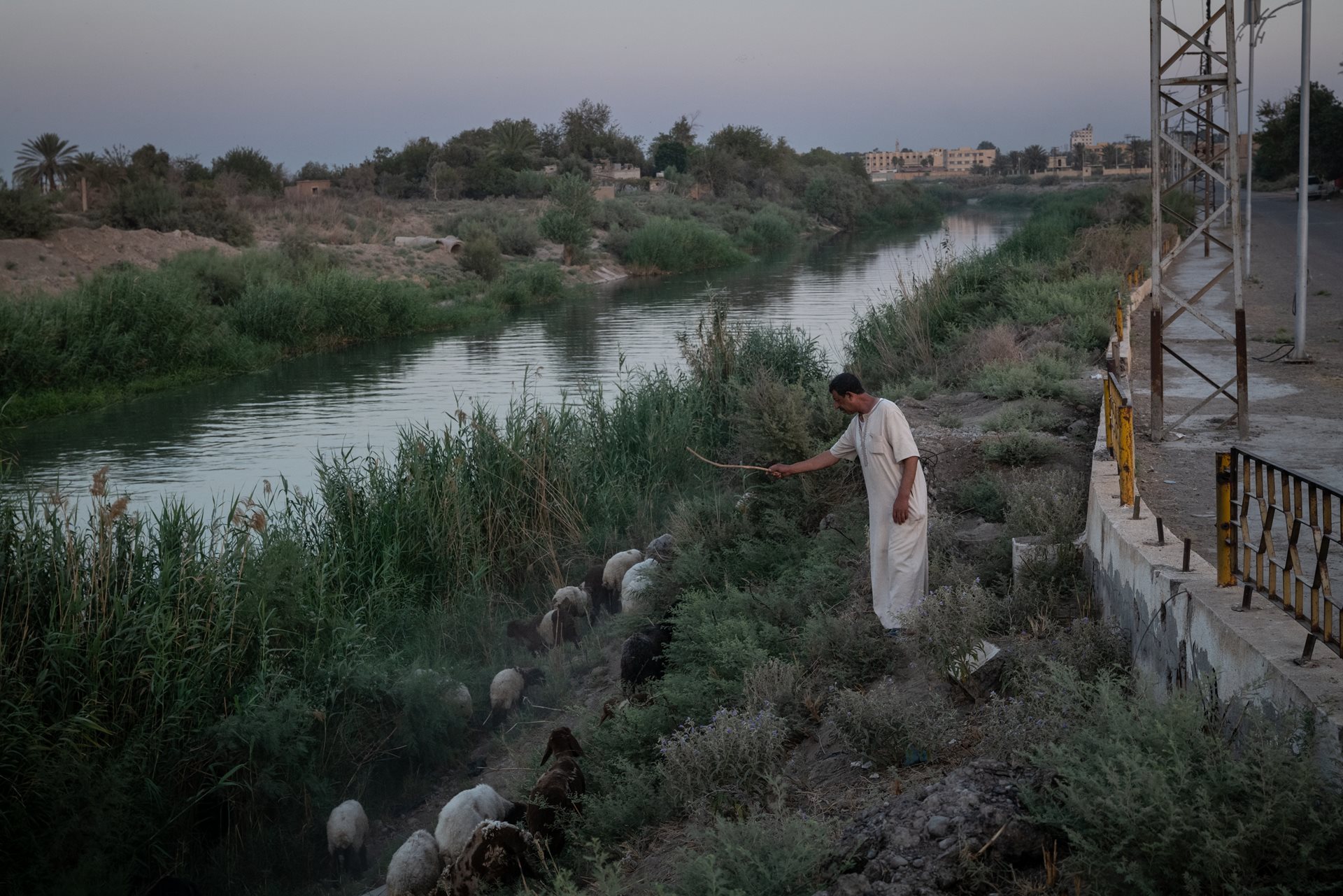 A shepherd herds his flock of sheep on the banks of the Euphrates River in Deir al-Zour, Syria. When this photograph was taken, the river divided forces loyal to the new Syrian government and the SDF.