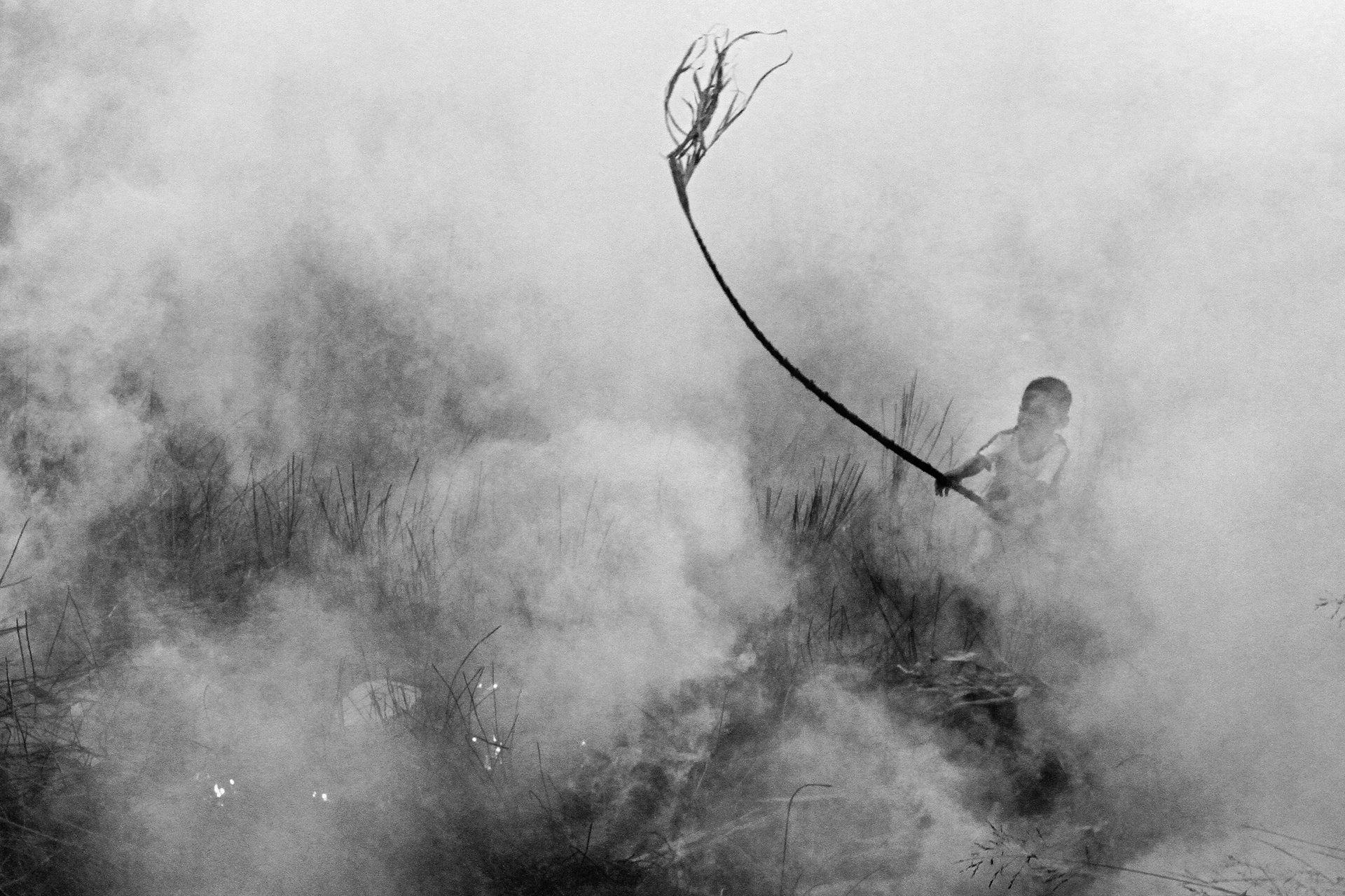 <p>A child struggles to extinguish peatland fires with a tree branch in Pamulut village, Ogan Ilir, South Sumatra, Indonesia. People had difficulty in sourcing water to fight the fire.</p>
