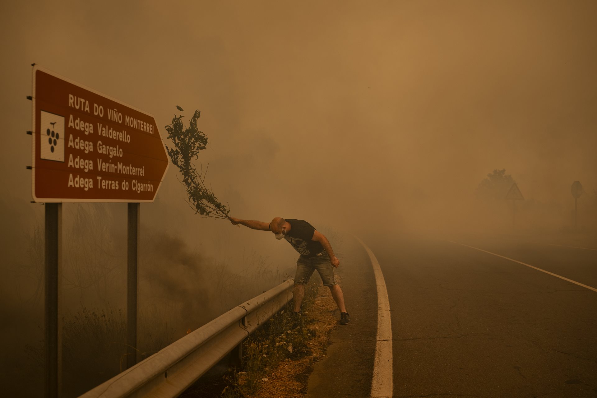 A man fights a wildfire with a branch in Cualedro, Ourense, Galicia, Spain. When resources are stretched, residents use whatever is available to extinguish flames, including branches, farming tools, and water hoses.