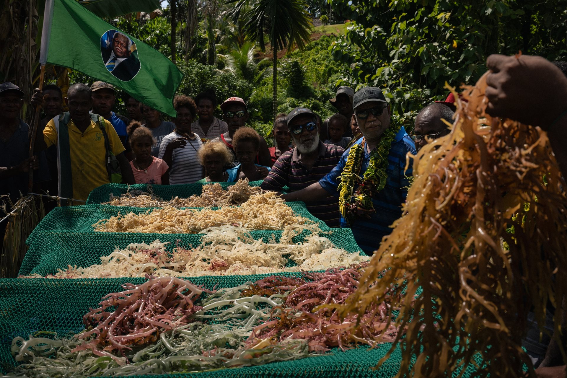 Crowds in Fouele discuss seaweed farming with MP Rick Houenipwela. This new source of income offers a path away from the traditional but controversial dolphin hunt, providing families with a more reliable means of supporting themselves. Fouele Village, Maramasike Island, South Malaita, Solomon Islands.