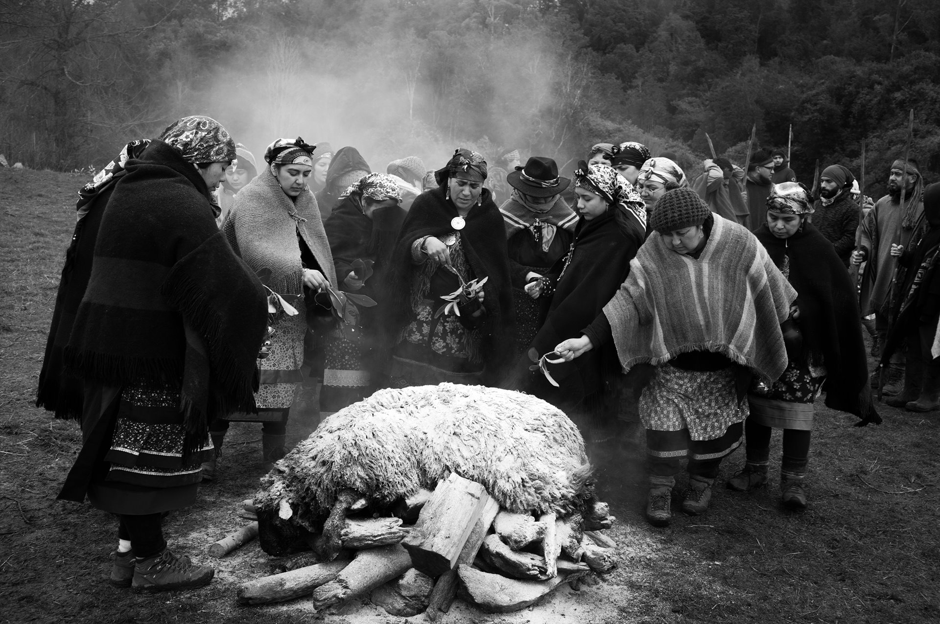 Women sacrifice a lamb as thanksgiving in Maihue, Los Ríos, Chile, on the morning after a <em>machi</em> (an ancestral authority and spiritual guide) has gone into a trance seeking guidance for her people.&nbsp;